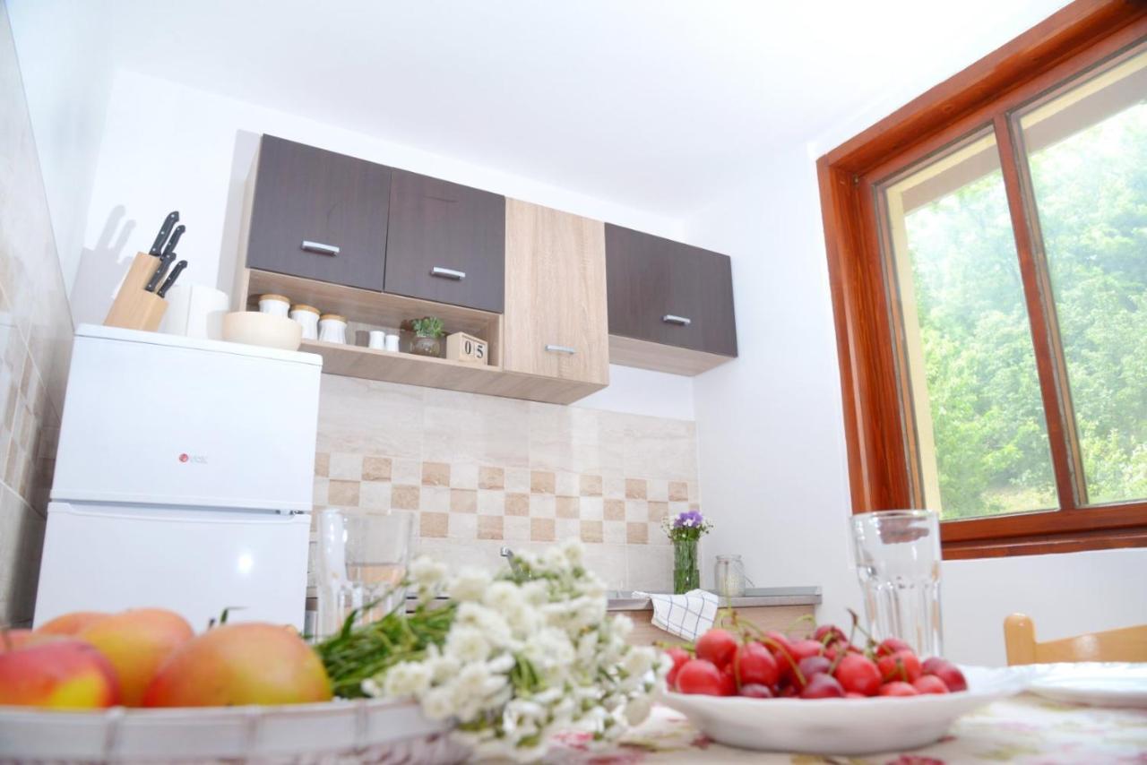 Zoja Apartment Vrdnik Ngoại thất bức ảnh